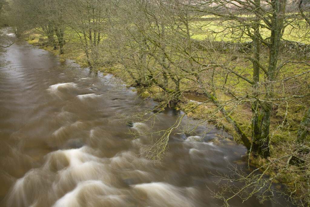 Scotland, Scottish Borders, Hermitage Water.