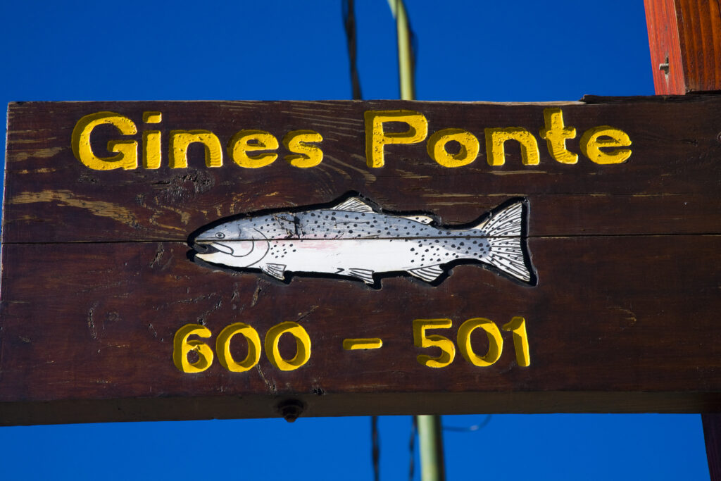 Argentina, The Lake District, Junín De Los Andes.