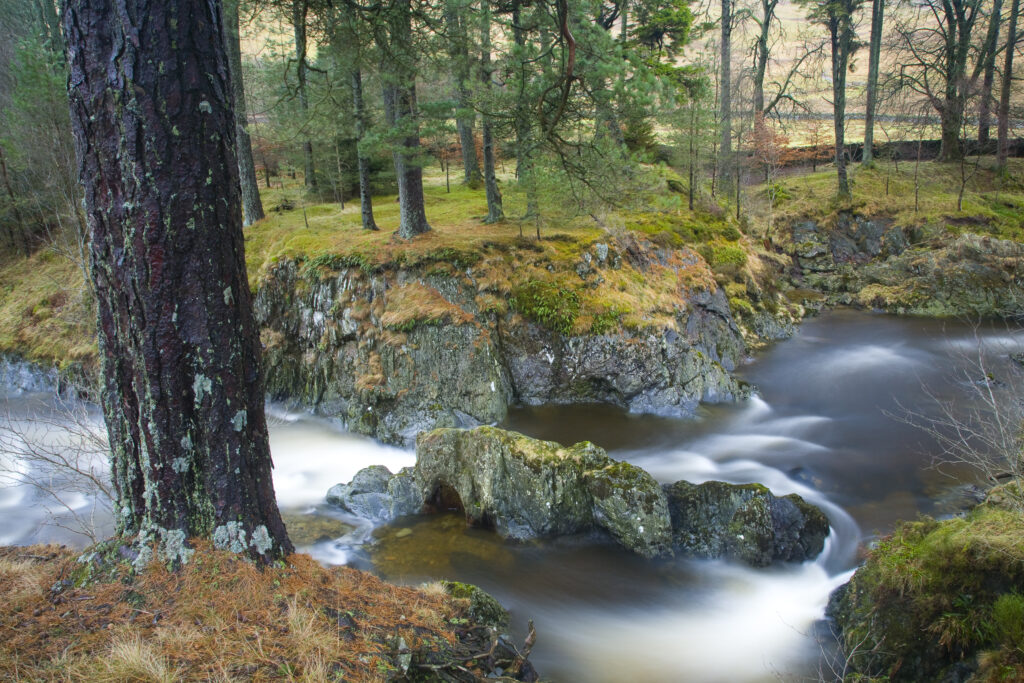 Scotland, Scottish Borders,
