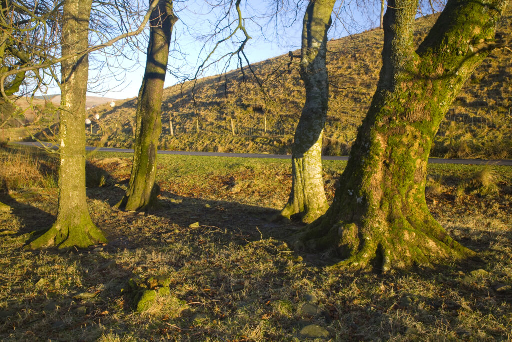 Scotland, Scottish Borders.