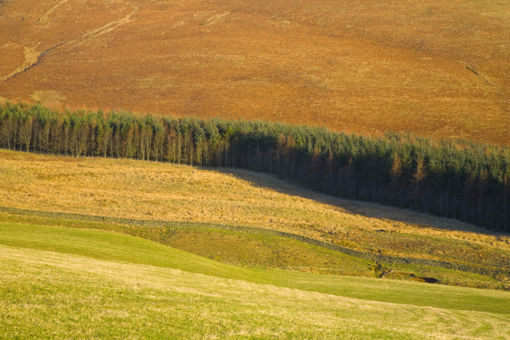 Scotland, Scottish Borders, Ettrick Valley.