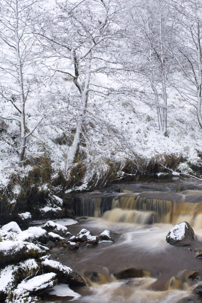 Scotland, Scottish Borders, Liddesdale.