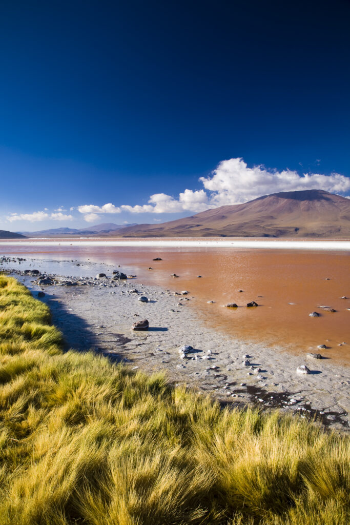 Bolivia, Southern Altiplano, Laguna Colorada.