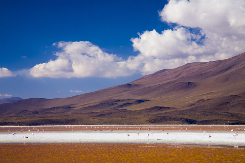Bolivia, Southern Altiplano, Laguna Colorada.