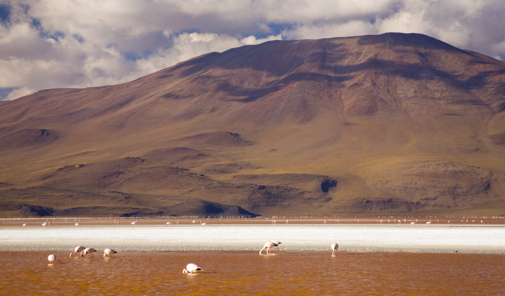 Bolivia, Southern Altiplano, Laguna Colorada.