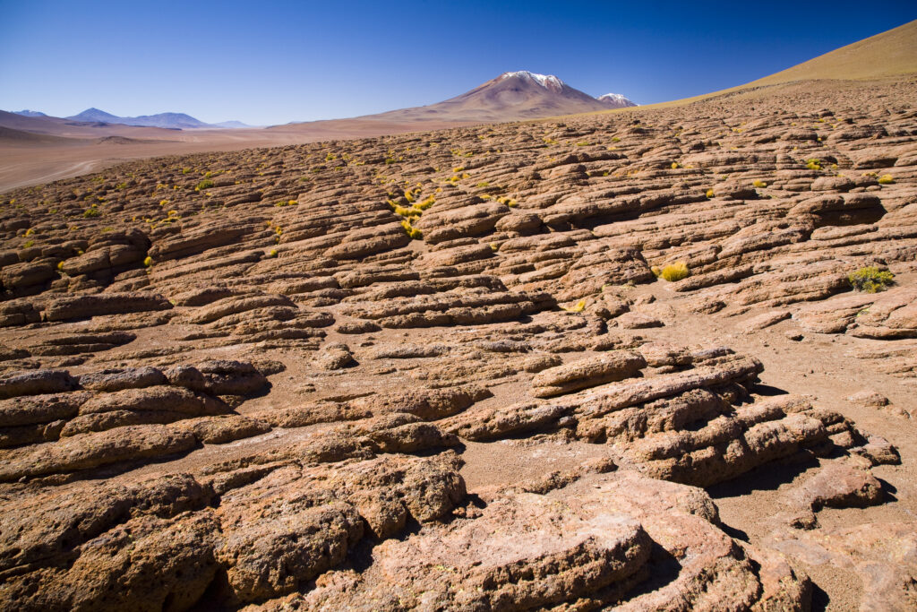 Bolivia, Southern Altiplano.