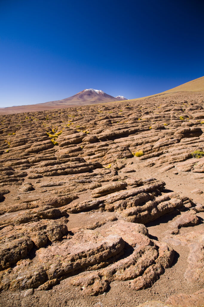 Bolivia, Southern Altiplano.