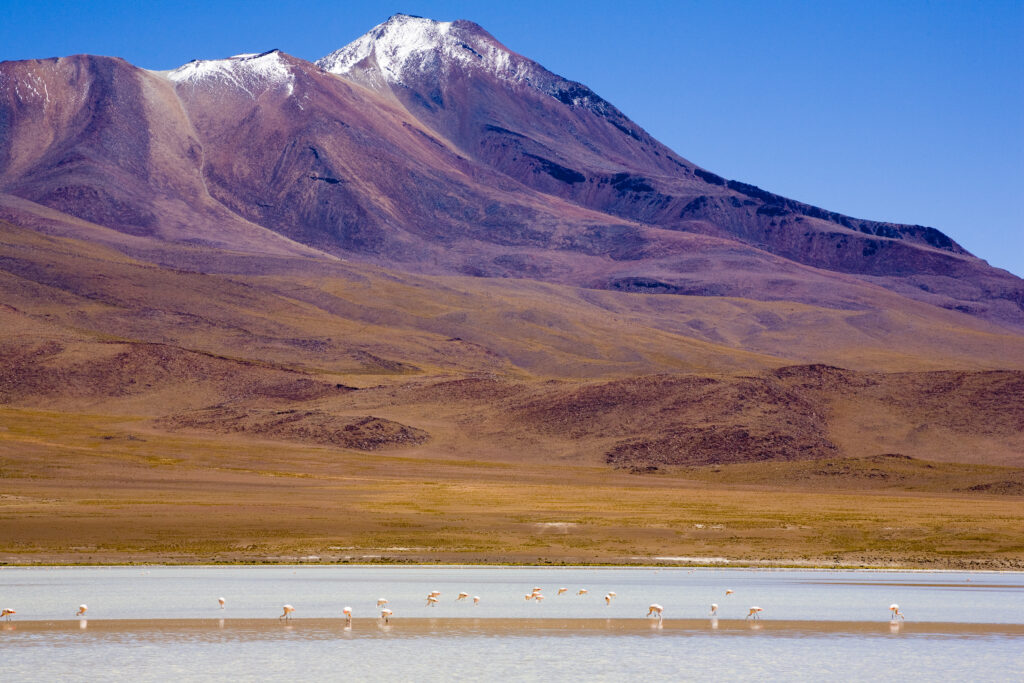 Bolivia, Southern Altiplano, Uyuni Highlands.