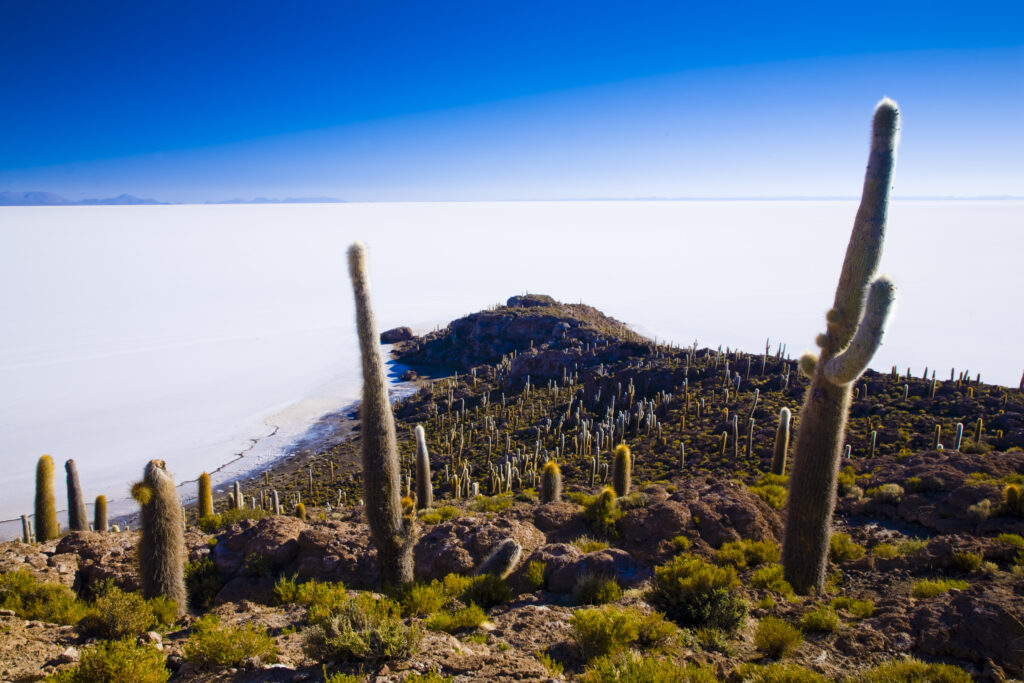 Bolivia, Southern Altiplano, Salar de Uyuni.