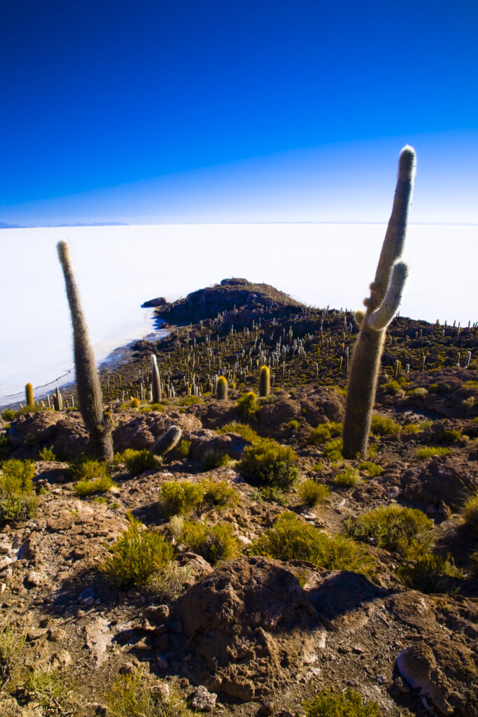 Bolivia, Southern Altiplano, Salar de Uyuni.