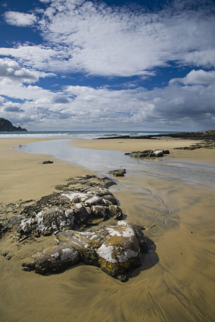 New Zealand, Otago, The Catlins.