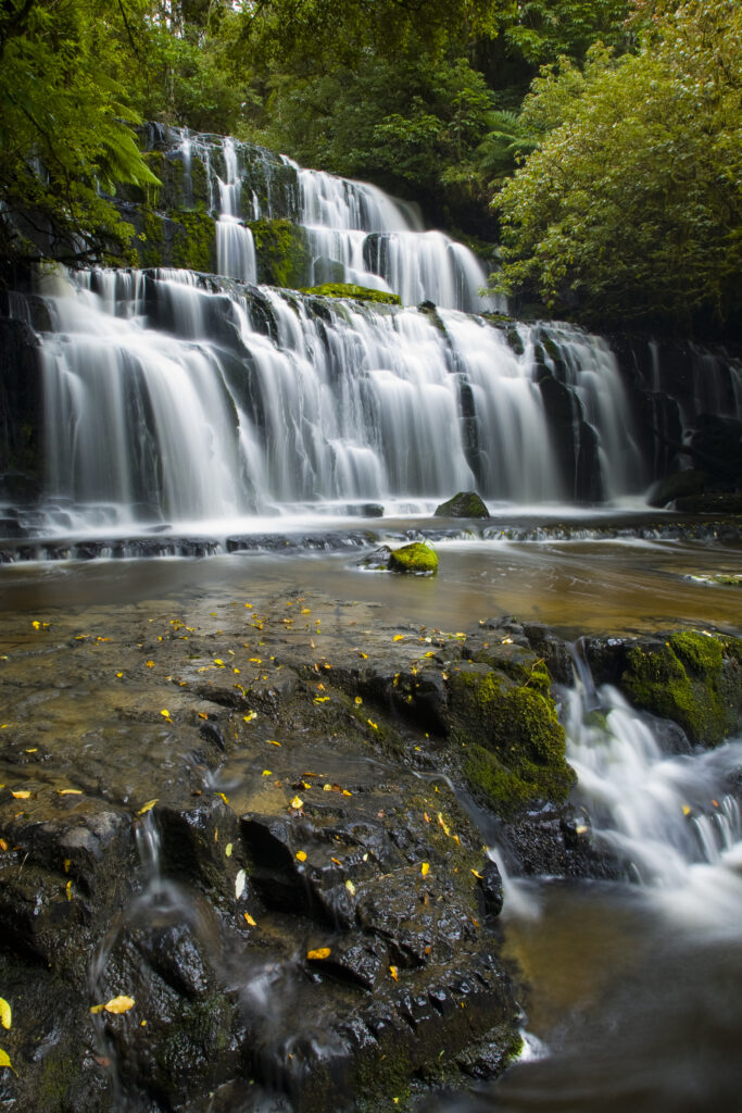 New Zealand, Southland, The Catlins.