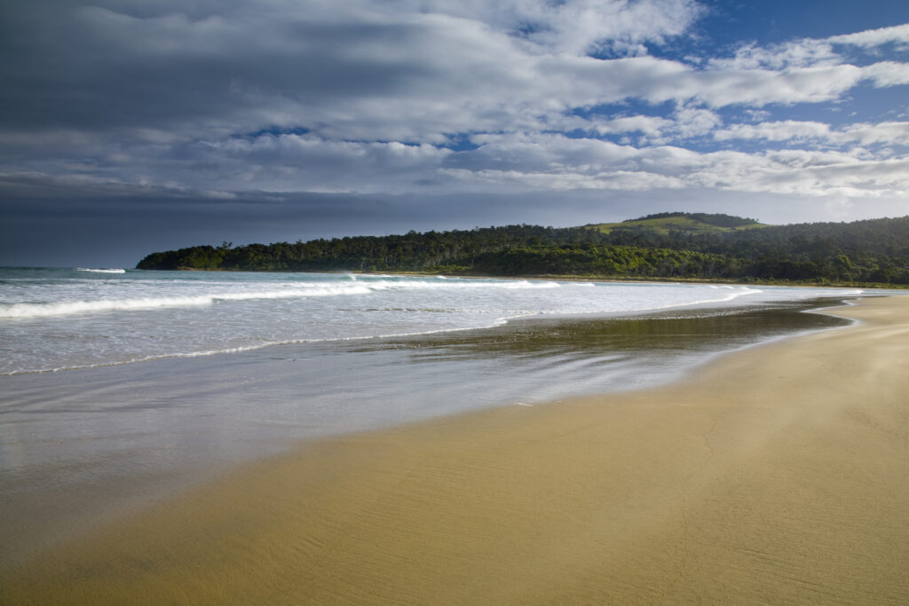 New Zealand, Southland, The Catlins.