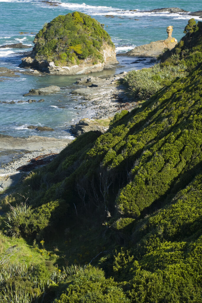 New Zealand, Southland, The Catlins.