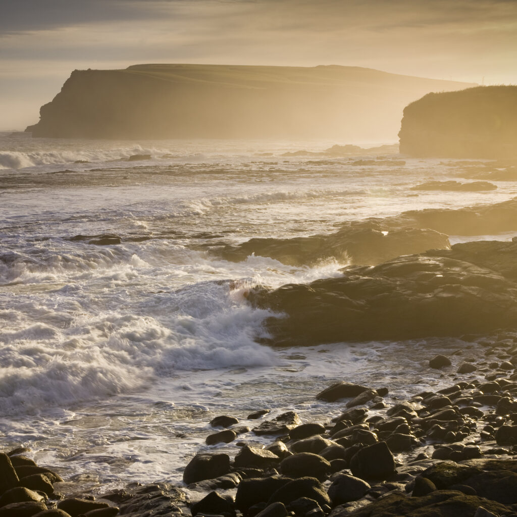 New Zealand, Southland, The Catlins.