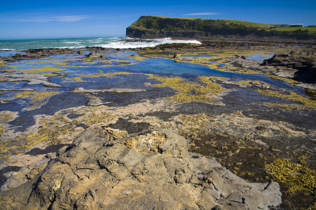 New Zealand, Southland, The Catlins.