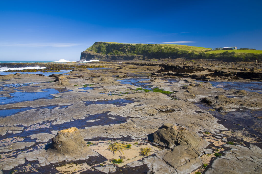 New Zealand, Southland, The Catlins.