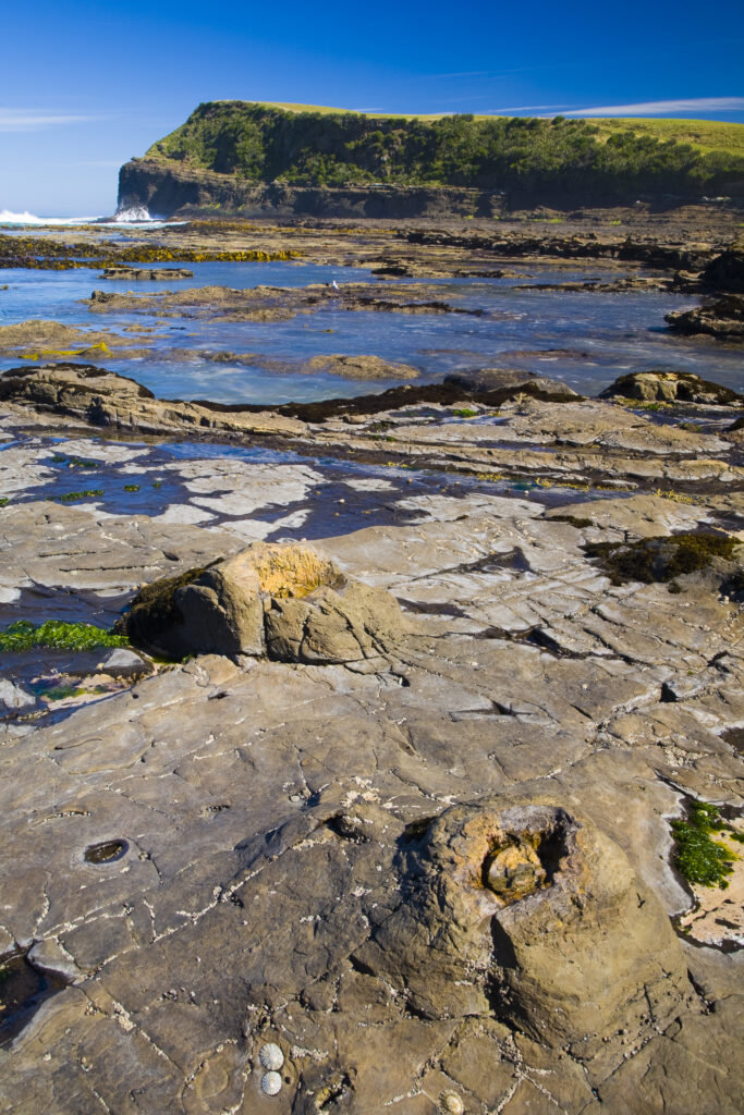 New Zealand, Southland, The Catlins.