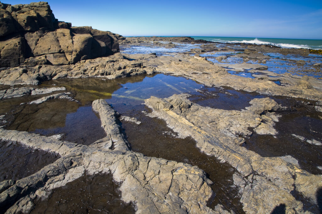 New Zealand, Southland, The Catlins.