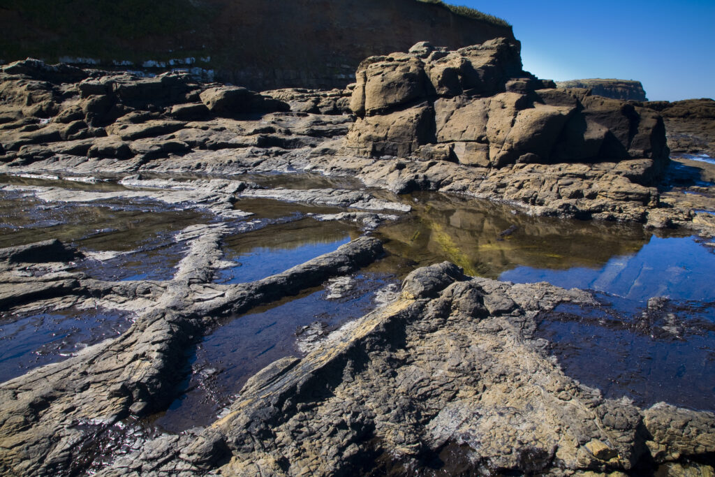 New Zealand, Southland, The Catlins.