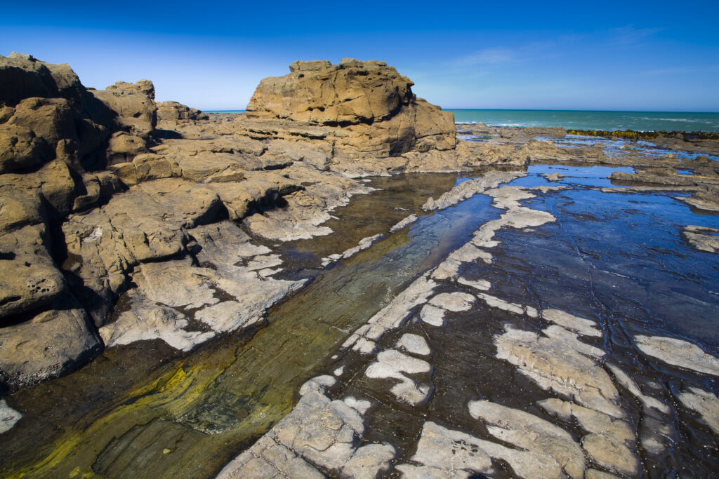 New Zealand, Southland, The Catlins.