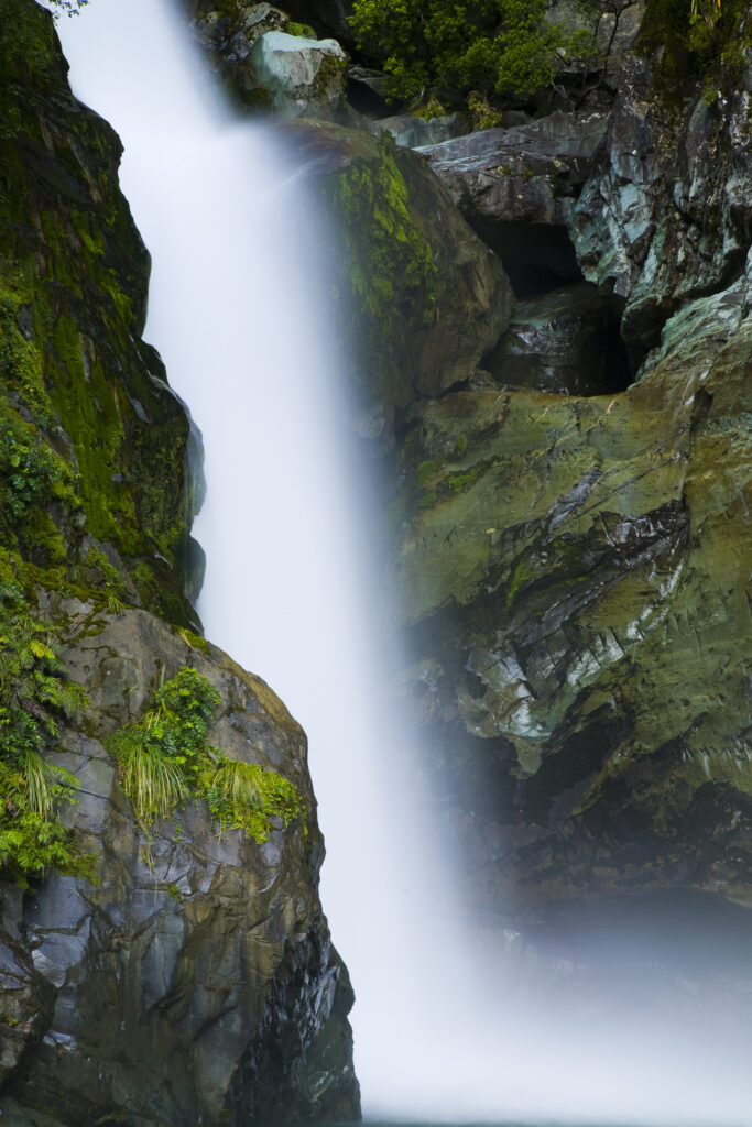 New Zealand, Southland, Fiordland National Park.