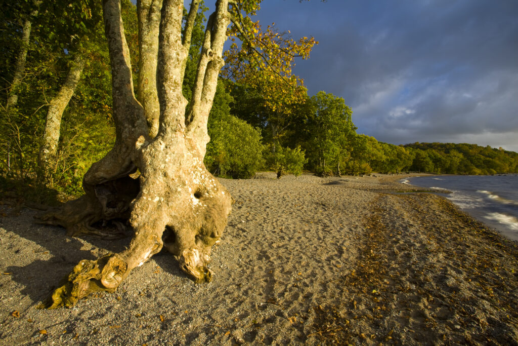 Scotland, Stirling, Loch Lomond and the Trossachs National Park.