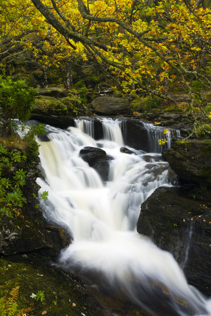 Scotland, Stirling, Loch Lomond and the Trossachs National Park.
