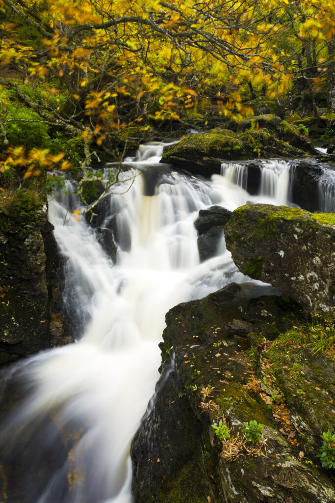 Scotland, Stirling, Loch Lomond and the Trossachs National Park.