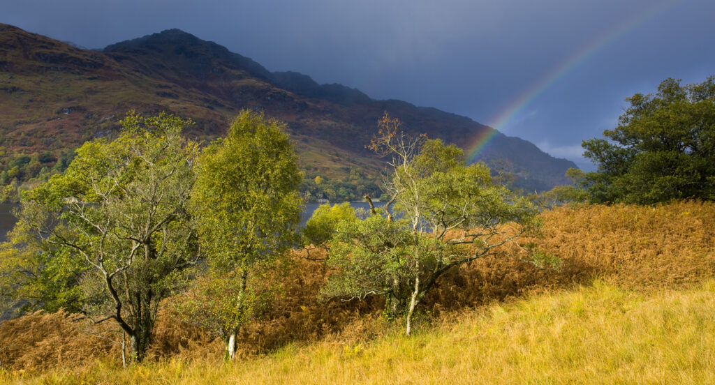 Scotland, Stirling, Loch Lomond and the Trossachs National Park.