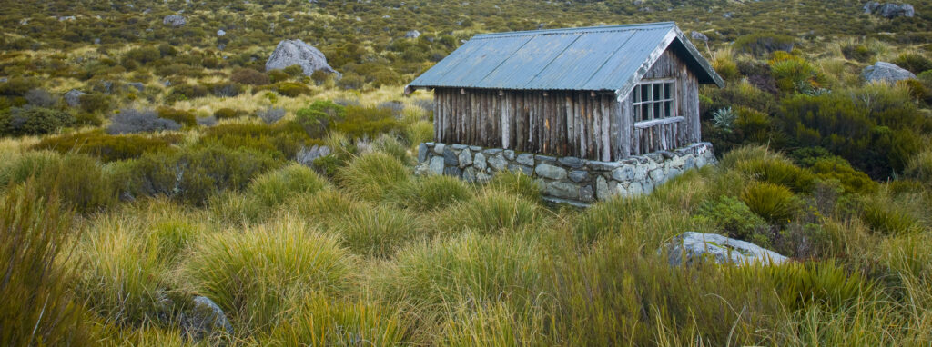 New Zealand, Canterbury, Mt Cook National Park.