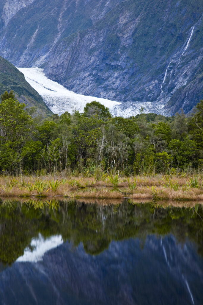 NEW ZEALAND, Westland, Westland National Park.