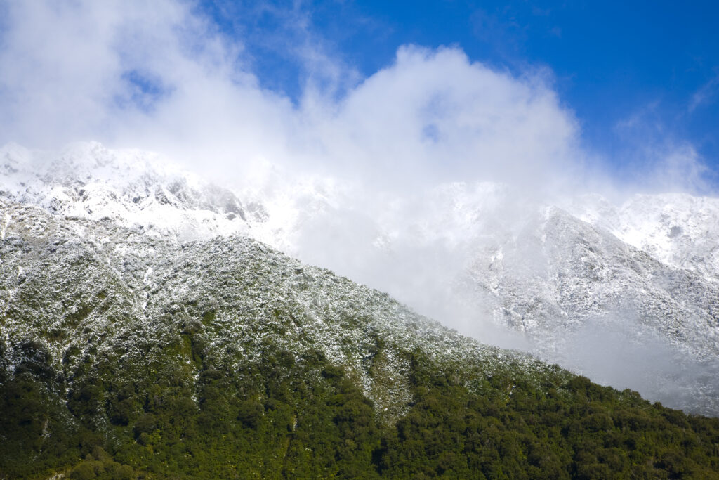 NEW ZEALAND, Westland, Westland National Park.