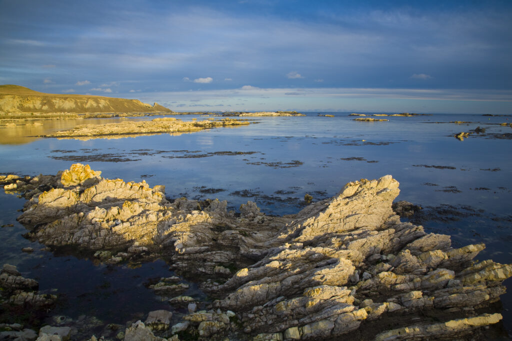 New Zealand, Marlborough, Kaikoura.