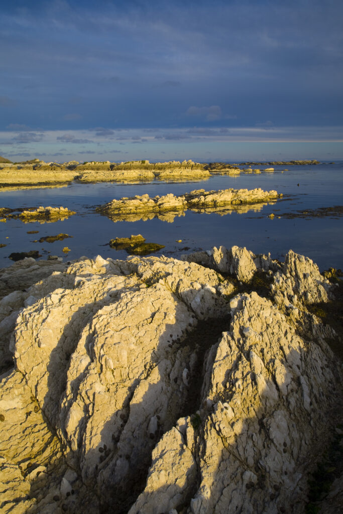 New Zealand, Marlborough, Kaikoura.