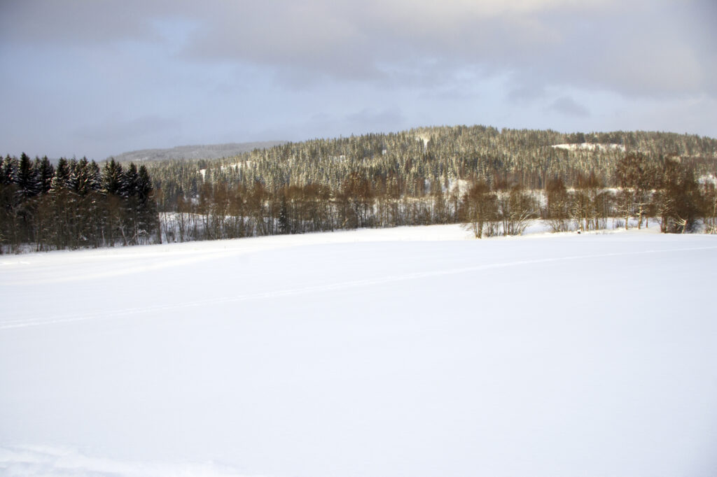 Norway, Oslo, Oslo City