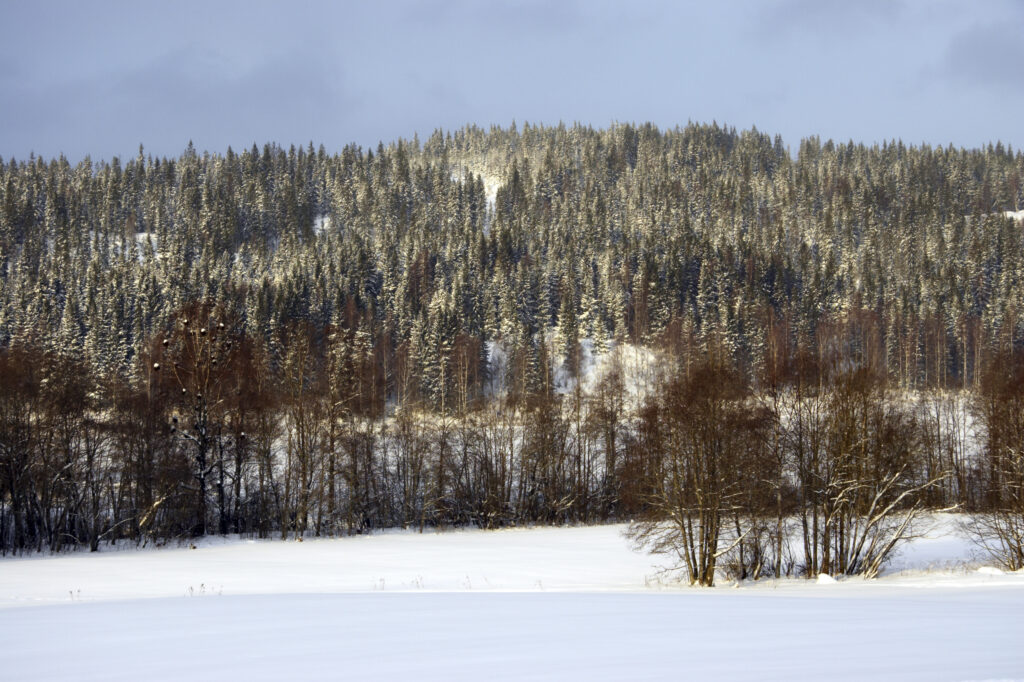 Norway, Oslo, Oslo City
