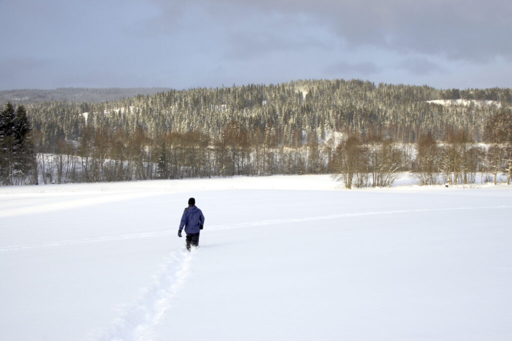 Norway, Oslo, Oslo City