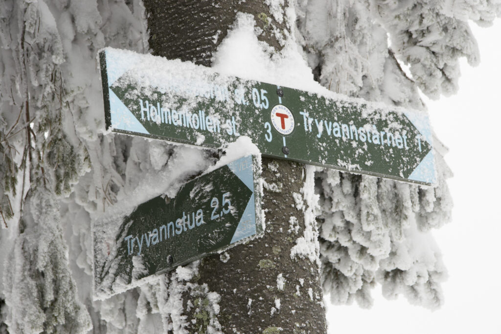 Norway, Oslo, Oslo City