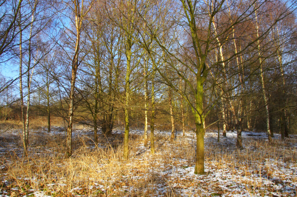 UKAAG079