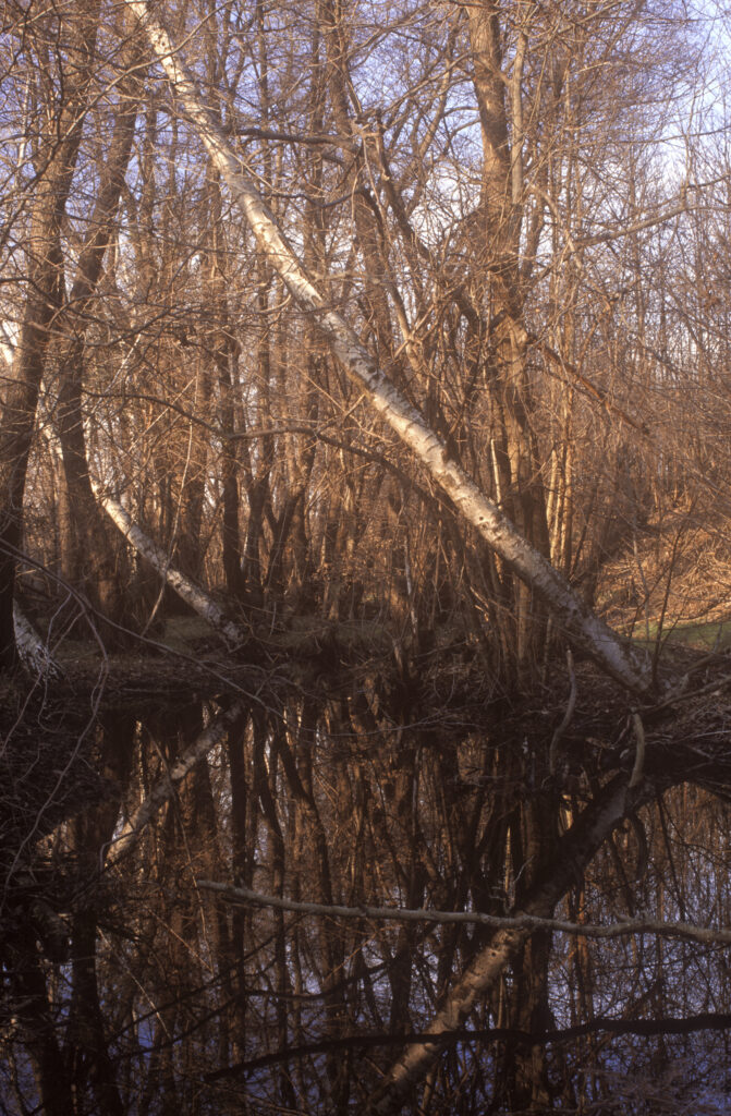it105