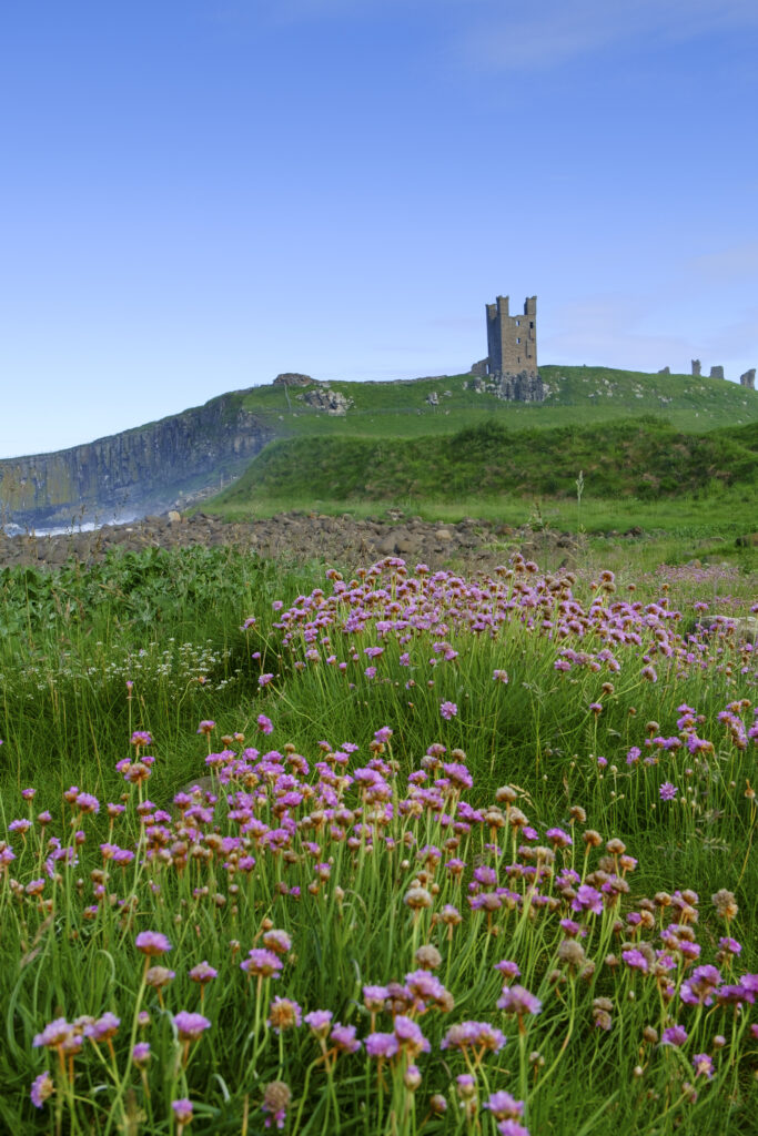England, Northumberland, Embleton.