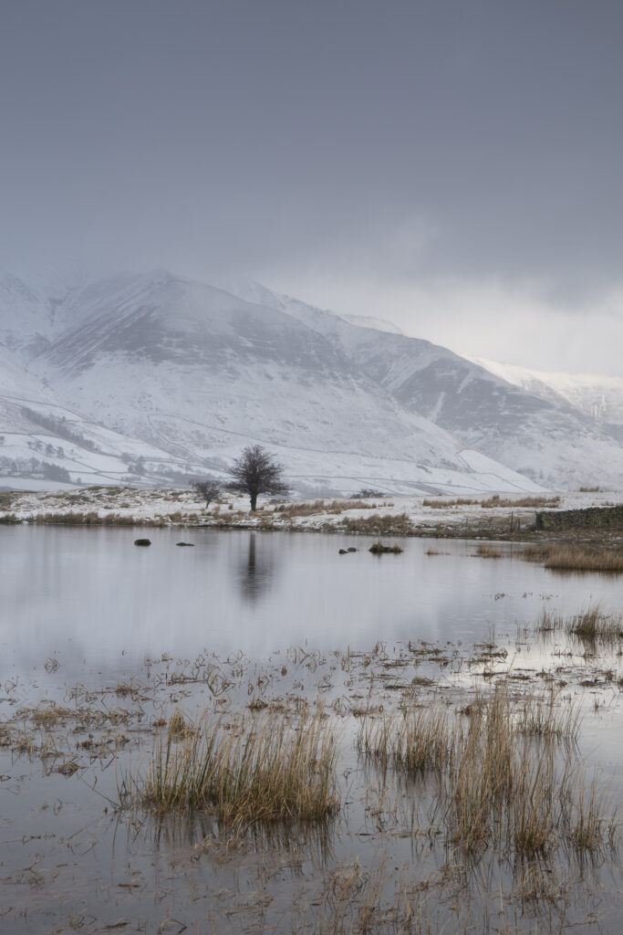 England, Cumbria, Lake District National Park.