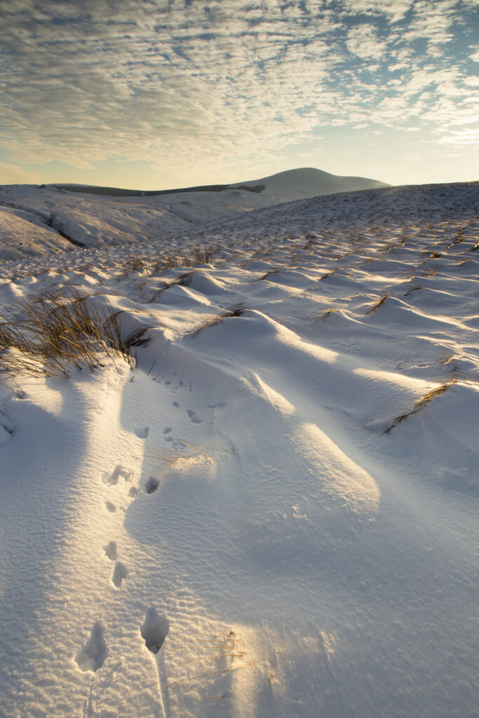 England, Northumberland, Harthope Valley.