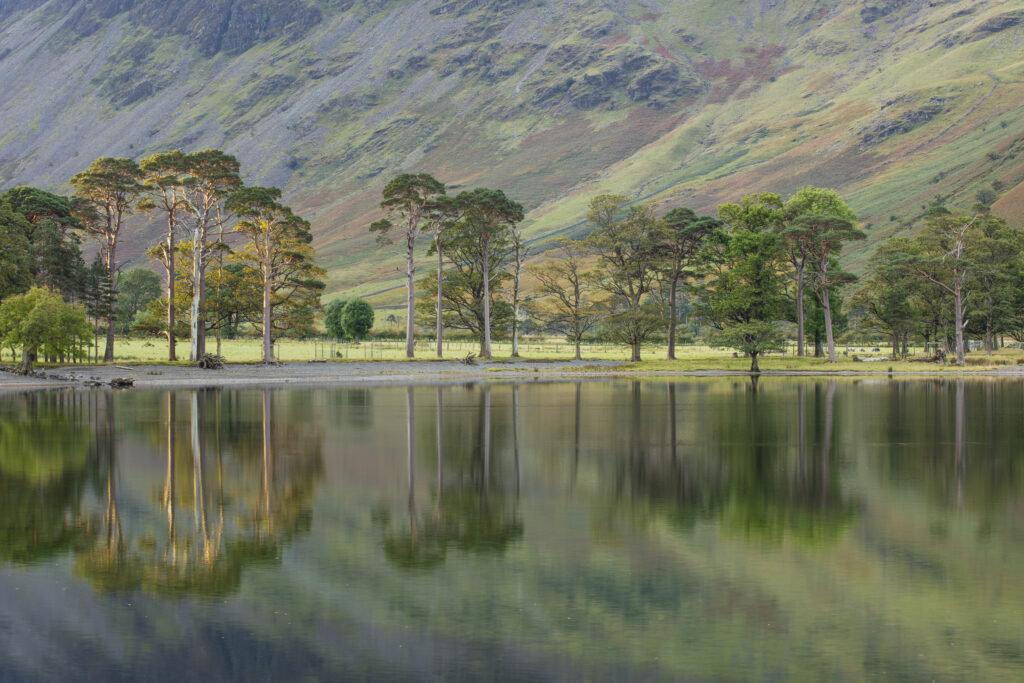 England, Cumbria, Lake District National Park.