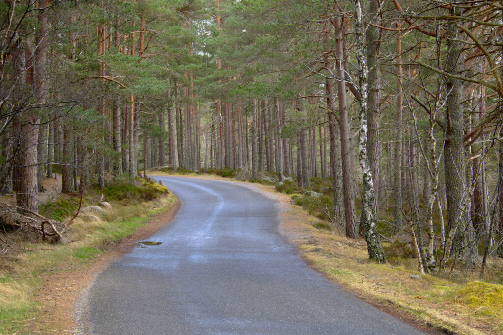 Scotland, Scottish Highlands, Cairngorms National Park.