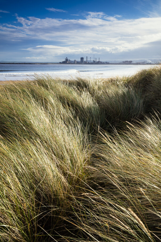 England, Middlesbrough, Teesmouth NNR.