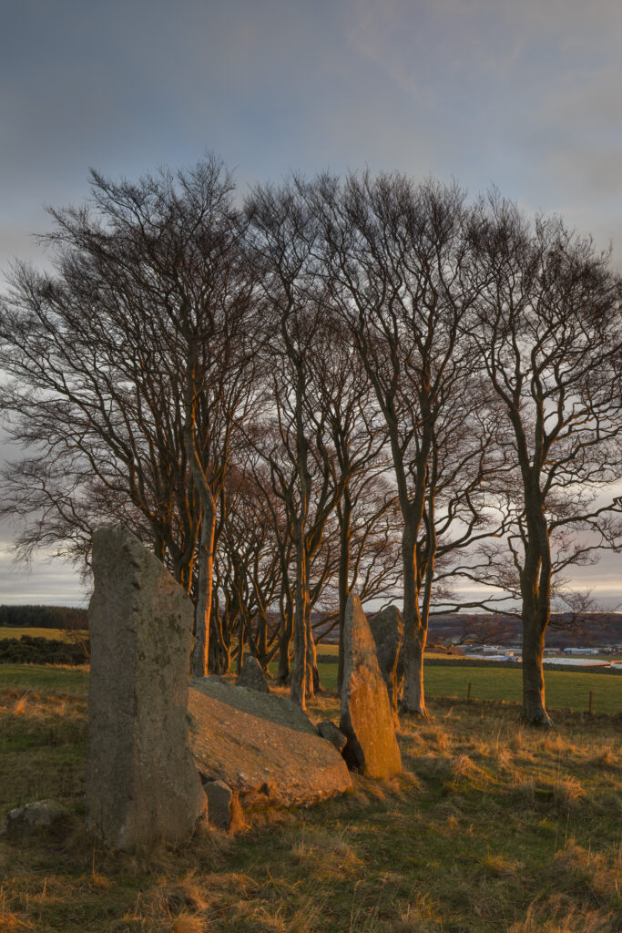 Scotland, Aberdeenshire, Tyrebagger Stone Circle.
