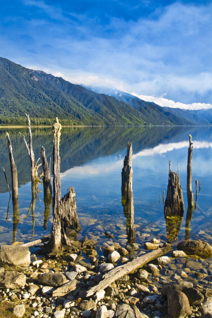 New Zealand, Southland, Fiordland National Park.