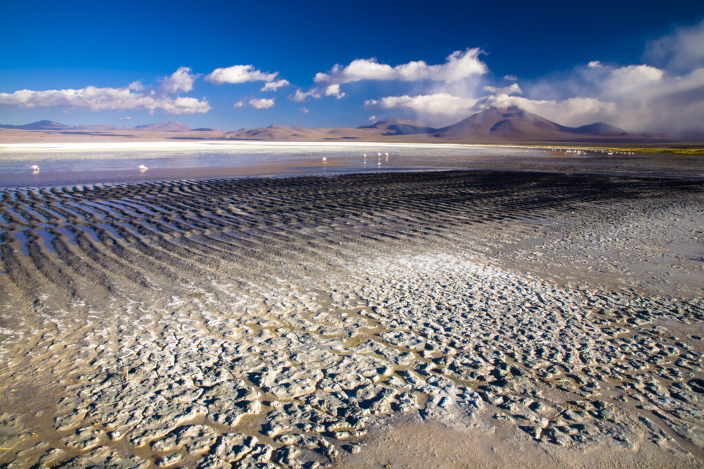 Bolivia, Southern Altiplano, Laguna Colorada.